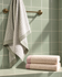 files/SpaTowelsinSunlitMintBathroom_ae561221-13df-4ad5-b75c-49b8eb8f7329.png